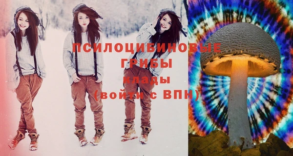 соль ск Вязьма