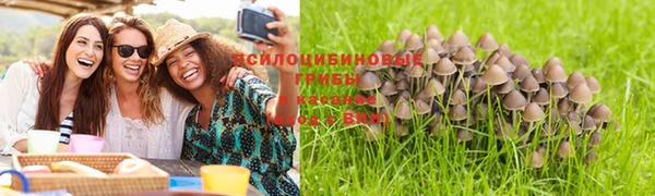 соль ск Вязьма