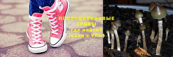 соль ск Вязьма