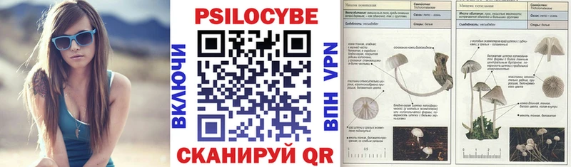 Купить где  Моздок  Псилоцибиновые грибы ЛСД 